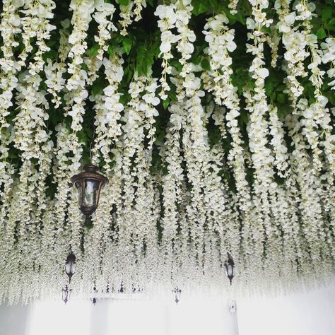 Fake flowers hang on the ceiling : Garden Moment Coffee Bar, Icon City,Penang, Malaysia. Ceiling Garden, Bridgerton Wedding, Sky Castle, Enchanted Forest Party, Vineyard Wedding Venue, Flower Ceiling, Forest Party, White Wisteria, Quinceanera Ideas