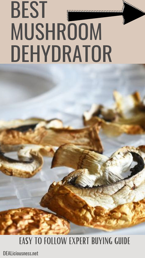 What Food Dehydrator is Best for Mushrooms? Top 5 best Mushroom Dehydrators Dehydrate Mushrooms, Dehydrating Mushrooms, Food Dehydration, Preserving Foods, Food Dehydrators, Canning Food Preservation, Long Term Food Storage, Dehydrated Fruit, Dried Mushrooms