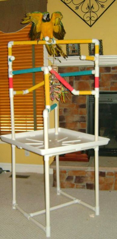 DIY Large Bird Tray Gym - petdiys.com Bird Play Gym, Parrot Play Stand, Diy Bird Toys, Parrot Stand, Parrot Perch, Bird Stand, Pvc Flooring, African Grey Parrot, Diy Birds