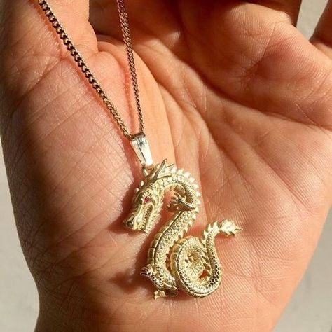 𝗽𝗶𝗻𝘁𝗲𝗿𝗲𝘀𝘁: 𝗵𝗼𝗻𝗲𝗲𝘆𝗷𝗶𝗻 ✩ Dragon Aesthetic, Jewelry Editorial, Dragon Necklace, Tiffany Jewelry, Dope Jewelry, Dragon Pendant, A Dragon, Jewelry Inspo, Piercing Jewelry