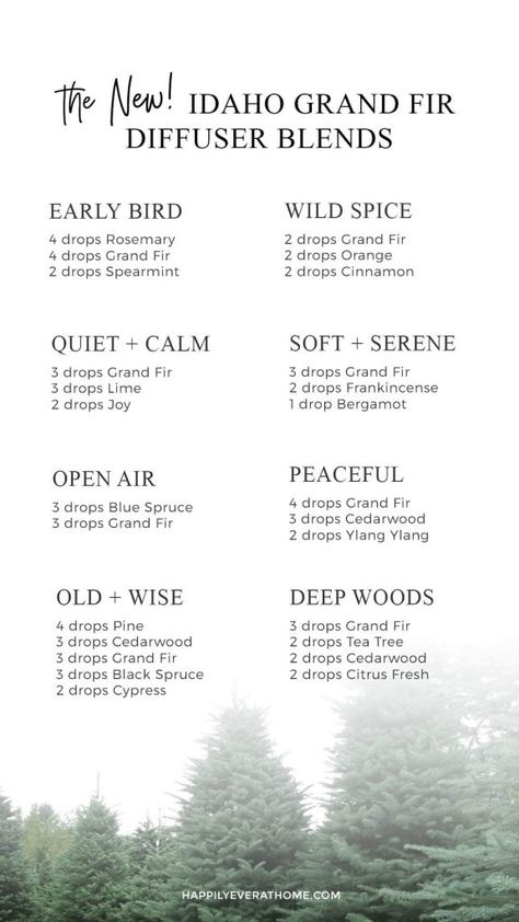 8 ideas for woodsy smelling diffuser blends with the newly named Idaho Grand Fir essential oil, formerly known as Idaho Balsam fir! Woodsy Blends Essential Oils, Woodsy Oil Diffuser Blends, Woodsy Oil Blends, Fir Essential Oil, Musky Diffuser Blends, Cedar Wood Diffuser Blends, Fir Essential Oil Diffuser Blends, Teakwood Essential Oil Blend, Woodsy Essential Oil Blend