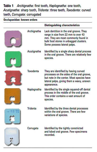 Different types of bread clips, from the British Medical Journal. Bread Tabs, Bread Ties, Bread Tags, Bread Clip, Medical Journal, Different Types Of Bread, Bread Bag, Visual Illusion, Medical Journals