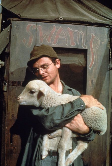 Mash Show, Gary Burghoff, Mash Characters, Mash 4077, Alan Alda, 1970s Tv Shows, The Lone Ranger, Classic Television, Old Shows