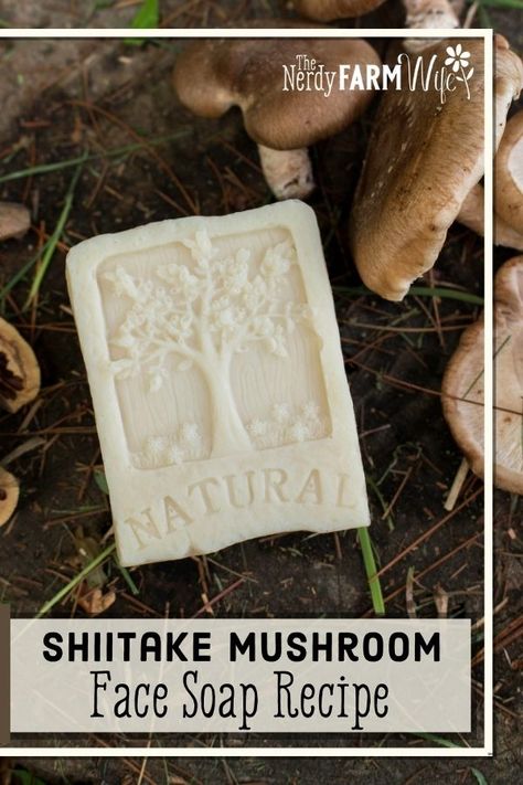 This cold process soap features fresh shiitake mushrooms infused into a creamy nourishing recipe that's suitable for your face or body. Cold Process Face Soap Recipe, Mushroom Soap Bar, Face Soap Recipe, Living Naturally, Natural Soaps Recipes, Cold Process Soap Recipes, Handmade Soap Recipes, Organic Lotion, Soap Colorants