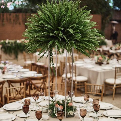 •Mariana•  @spcatering  @ar_producciones 📸 @charlotteandtheweddings ❤️#centerpiece #wedding #weddingdecor #rusticwedding Fern Centerpiece Wedding, Fern Wedding Decor, Fern Centerpiece, Company Retreat, Fern Wedding, Wedding Plants, Green Centerpieces, Elegant Wedding Venues, Fiesta Tropical