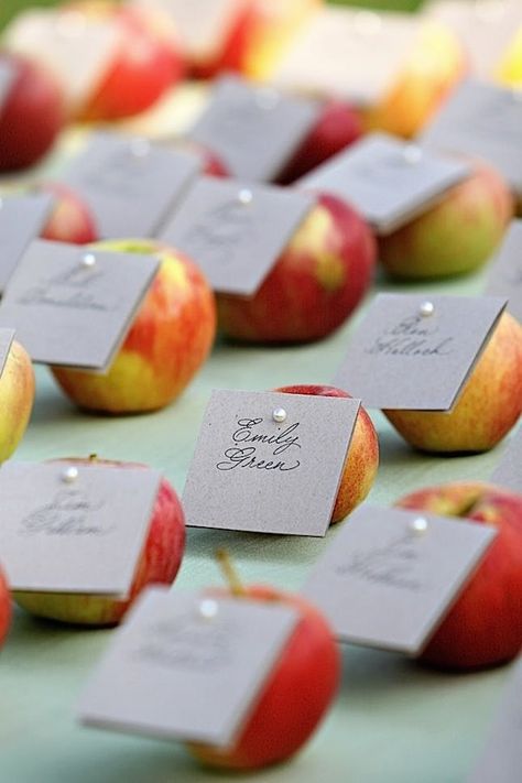 Peabody Massachusetts, Apple Orchard Wedding, Fall Wedding Decor, Apple Wedding, Orchard Wedding, Apple Decorations, Wedding Venue Inspiration, Fall Wedding Decorations, Rosh Hashanah