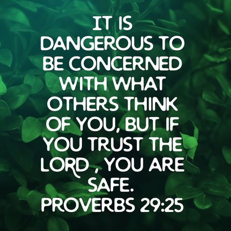 Proverbs 29 25, English Proverbs, Trust The Lord, Proverbs 29, Negative Words, What Others Think, Bible Quotes Images, Bible Love, Daily Scripture