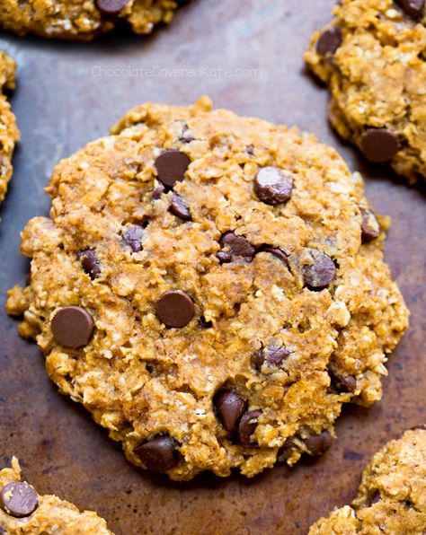 Pumpkin Chocolate Chip Oatmeal Cookies Oatmeal Chocolate Chip Cookies Healthy, Chocolate Chip Cookies Healthy, Healthy Pumpkin Cookies, Pumpkin Oatmeal Chocolate Chip, Pumpkin Oatmeal Chocolate Chip Cookies, Pumpkin Cookies Healthy, Chocolate No Bake Cookies, Pumpkin Banana Bread, Pumpkin Oatmeal Cookies