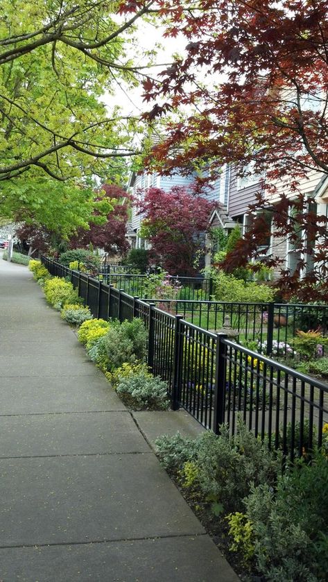 Fence For Front Yard, Front Yard Curb Appeal, Curb Appeal Landscape, Casa Hobbit, Front Yards Curb Appeal, Front Yard Decor, Fence Styles, Front Yard Fence, Wrought Iron Fences