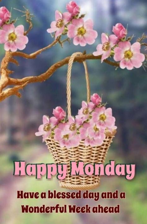 Monday Outfits, Monday Morning Greetings, Happy Monday Pictures, Monday Morning Blessing, Happy Monday Images, Happy Monday Morning, Monday Images, Good Morning Wednesday, Good Morning Happy Monday