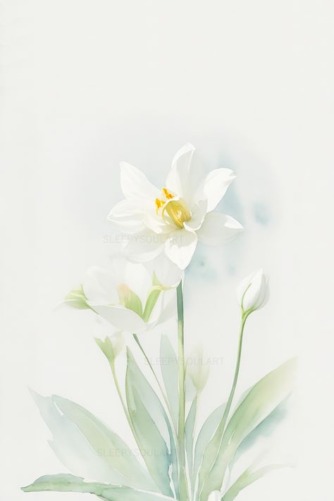 Experience the elegance and renewal in blooms with the December Narcissus Birth Flower. Our floral artwork captures the essence of this beloved December flower, representing beauty, self-reflection, and the timeless charm of nature's delicate blooms. #homedecor #watercolor #floral #nature #interiordesign #elegant #home #love #birthflower #gift #giftidea #meaningfulgiftidea #happybirthday #giftbox #birthdaygift #birthdaypresent #weddinggift #aesthetic #minimalist #minimalistic #design #tattooidea Narcissus Flower Aesthetic, Farmer Tattoo, December Flower, December Birth Flower, Narcissus Flower, Future Garden, Bible Verses For Women, Aesthetic Minimalist, Watercolor Ideas