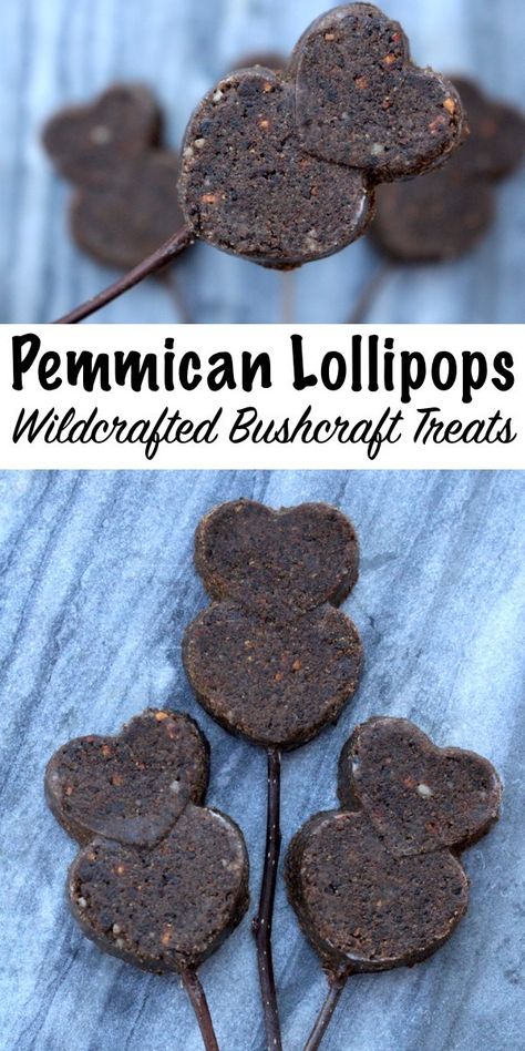 Wildcrafted Pemmican Lollipops ~ Real paleo treats! Pemmican is a traditional survival food made from dried meat and suet, but it can be crafted into a classy meat lollipop for your bushcraft sweetheart. Pemmican Recipe, Dried Meat, Meat Love, Foraged Food, Easy Meat Recipes, Paleo Treats, Wild Edibles, Survival Food, Wild Food