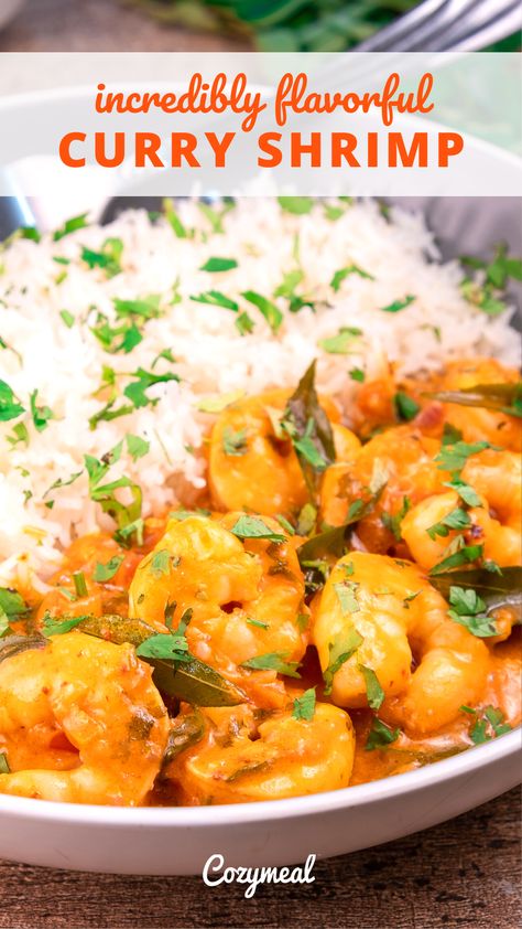 Enjoy this decadent, aromatic, tangy and smooth Indian shrimp curry. A full day’s marinade provides a sublime flavor and pairs perfectly with basmati rice, pilaf or naan. Curry Shrimp, Dinner Inspiration, Basmati Rice, Indian Cooking, Garam Masala, Naan, Shrimp Recipes, Indian Food Recipes, Seafood