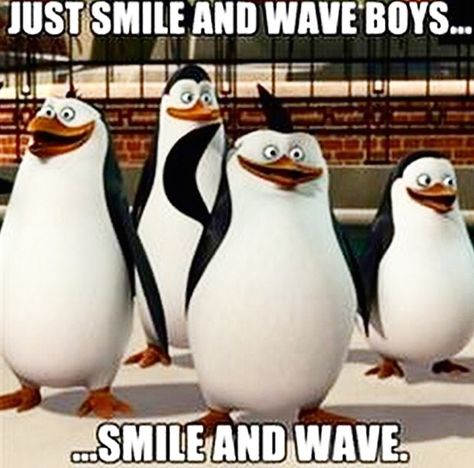 Just smile and wave boys... Pinguin Meme, Madagascar Meme, Madagascar Penguins, Penguin Meme, Madagascar Movie, Boy Meme, Penguins Funny, Penguins Of Madagascar, Smile And Wave