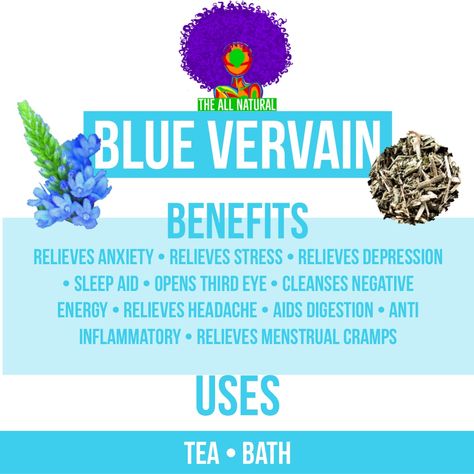 Blue Vervain Vervain Tea Benefits, Blue Vervain Tea, Blue Vervain Benefits, Palo Azul Tea Benefits, Nutrient Food, Blue Vervain, Dr Sebi Alkaline, Third Eye Opening, Dr Sebi