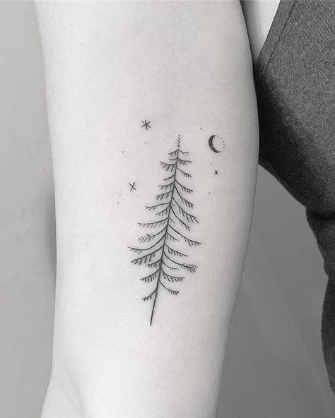 emma▫️fern▫️ginsberg on Instagram: “A stylized little evergreen at night. Amber, thanks for trusting me to hand poke this! #evergreen #tree #night #evening #handpokedtattoo…” Evergreen Tattoo, Foot Tattoo Quotes, Evergreen Tree Tattoo, Pine Tattoo, Small Foot Tattoos, Whimsical Tattoos, Ankle Tattoo Designs, Tree Tattoo Designs, Hand Poked Tattoo