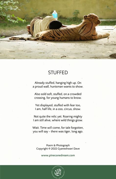 tiger poem | tiger conservation poem| wildlife poem| poem about tigers World Tiger Day, Nature Poems, Stuffed Tiger, Tiger Day, Tiger Conservation, Nature Poem, Global Awareness, Wild Tiger, Tiger Tiger