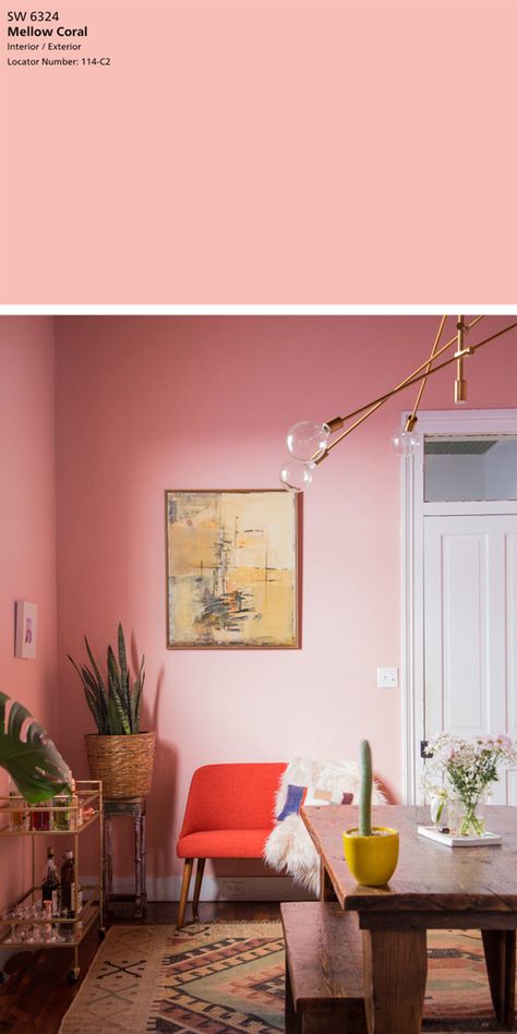 The Best 5 Pink Paint Colors — Tag & Tibby Design Mellow Coral Sherwin Williams Bedrooms, Multi Colored Room Walls, Mellow Coral Sherwin Williams Paint, Coral Rose Sherwin Williams, Sherwin Williams Coral Colors, Sherwin Williams Mellow Coral, Coral Paint Colors Sherwin Williams, Pink Interior Paint, Sherwin Williams Pink