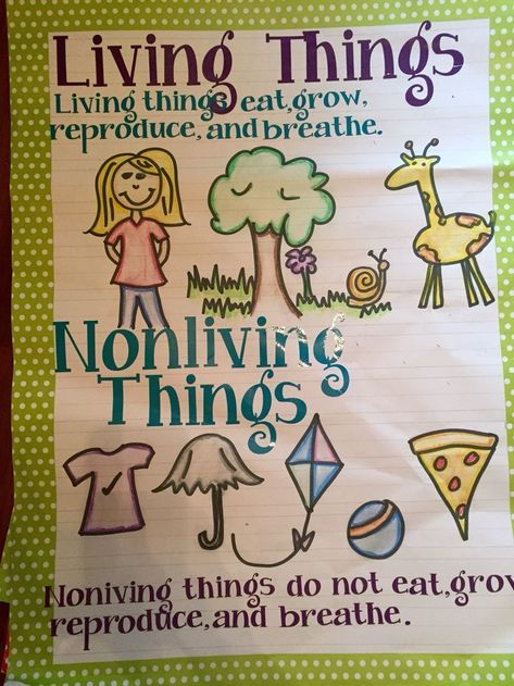 My Living Nonliving Anchor Chart Living And Nonliving Things Kindergarten, Living Vs Non Living Anchor Chart, Living And Non Living Things Anchor Chart, Living Vs Nonliving Kindergarten, Living And Non Living Things Chart, Ckla Kindergarten, Plants Kindergarten, Pre-k Science, Living And Nonliving