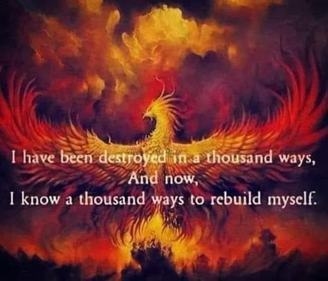 Phoenix Quotes, Rise Quotes, Phoenix Artwork, Phoenix Images, Bear Quote, Rise From The Ashes, Original Quotes, Awakening Quotes, Phoenix Rising