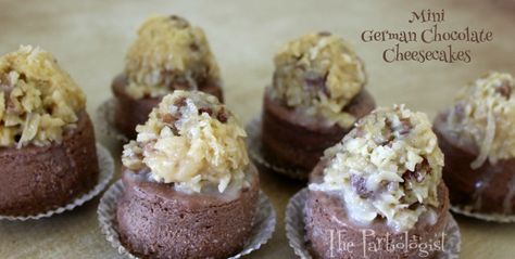 Chocolate Mini Cheesecakes, German Chocolate Cheesecake, Chocolate Cheesecake Brownies, Creamy Chocolate Cheesecake, Triple Chocolate Cheesecake, Coconut Pecan Frosting, Chocolate Cheesecake Recipes, Cheesecake Mousse, Chocolate Crust