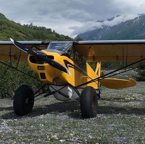 Piper Pa18 Super Cub Bush Flying, Pilots Quotes Aviation, Stol Aircraft, Piper Cub, Plane Icon, Bush Pilot, Bush Plane, Sea Plane, Small Aircraft