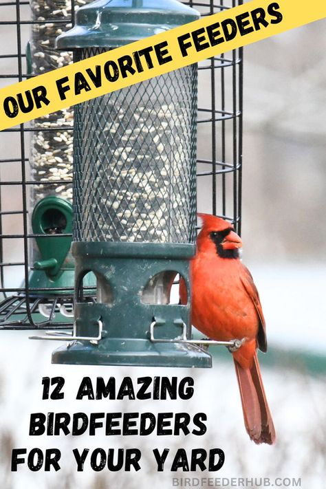 Transform your yard into a bird-watching haven with these 12 amazing bird feeders. From unique designs to functional favorites, find the perfect feeder to attract a variety of birds and add charm to your outdoor space. Outdoor Bird Feeder Ideas, Bird Feeder Station Ideas, Caged Bird Feeders, Unique Bird Feeders, Best Bird Feeders, Bird Feeder Poles, Diy Bird Feeder, Bird Feeder, Bird Species