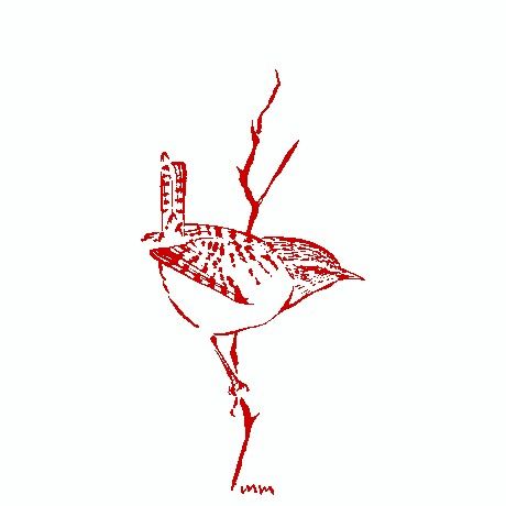 Wren Wren Tattoo, Tiny Bird Tattoos, Vogel Tattoo, Insect Tattoo, Bird Sketch, Red Ink Tattoos, Nature Conservation, Tattoo Outline, Outline Drawings