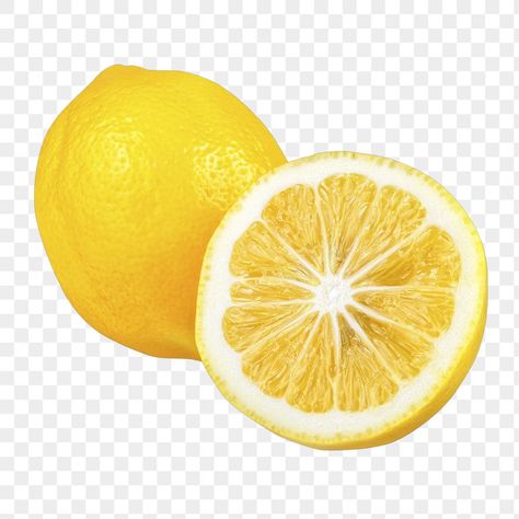 Lemon Png, Graphic Design University, Fruit Png, Vegetable Slice, Fruit Fruit, Fruit Vector, Graphic Design Cards, Lemon Fruit, 3d Modeling Software