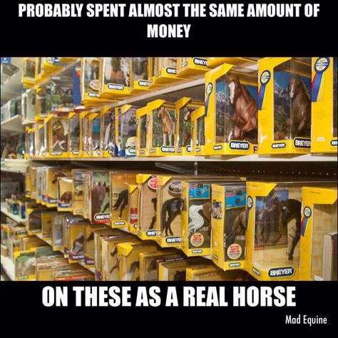 Ben Davidson, Schleich Horses Stable, Equestrian Memes, Cats Tips, Horse Meme, Wooden Fences, Horse Jokes, Bryer Horses, Horse Memes