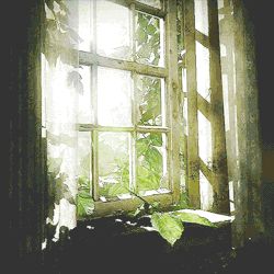 (via Pin by FAIRY HILL on Paintings & art come to life with GIFS!!!! | Pi…) Window View, Beautiful Gif, Open Window, Through The Window, Last Of Us, Summer Breeze, Happy Sunday, Ramen, Art Painting