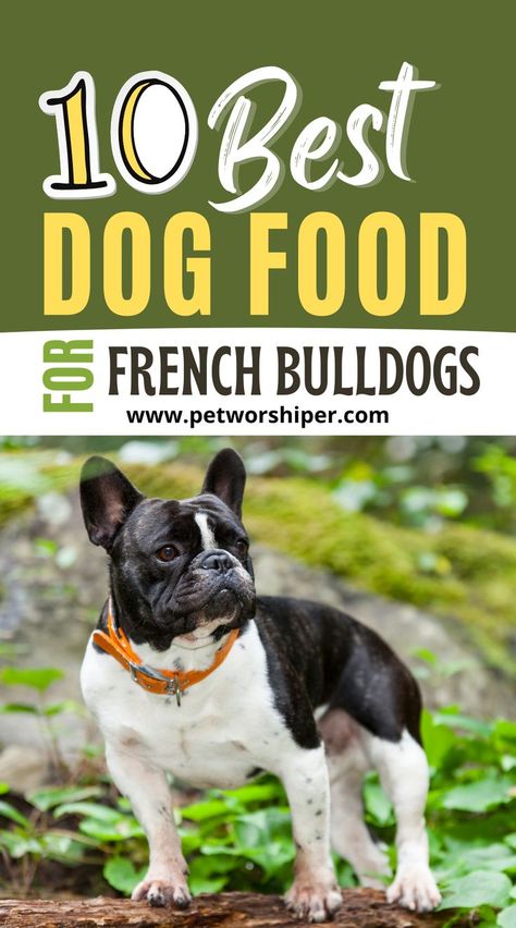 French Bulldogs Bulldog Recipe, Puppy Food Recipes, French Bulldog Breed, Make Dog Food, Dog Wellness, French Dogs, Bulldog Breeds, Perfect Diet, Physical Characteristics