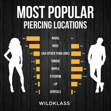 Female Piercing, Piercing Placement, Ear Piercings Chart, Tongue Bars, Piercing Chart, Piercings Ideas, Bull Tattoos, Face Piercings, Cool Piercings