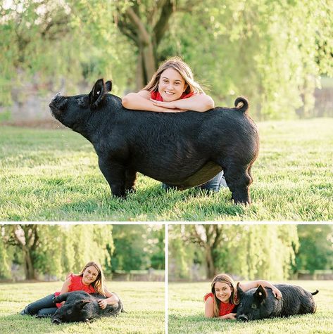 4-H Senior Portraits | Catherine Michele Photography Blog 4h Senior Pictures Animals, Show Pig Pictures, Livestock Pictures Senior Pics, 4h Senior Picture Ideas, 4h Photography Project Ideas, 4h Photography Ideas, Livestock Photography Senior Pics, Livestock Senior Pictures Pigs, Senior Pictures With Pigs