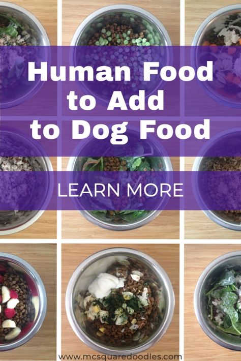 Dog Food Boosters, Foods To Add To Dog Food, Additives For Dog Food, Add To Dog Food, Dog Meals With Kibble, What To Add To Dog Kibble, What To Add To Dog Food, Fresh Foods For Dogs, Raw And Kibble Diet