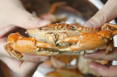 Crab And Shrimp Recipe, Big Crab, Seafood Festival, Steamed Crabs, Crab Feast, Stone Crab, Crab Soup, Shrimp Recipes For Dinner, Children's Activities