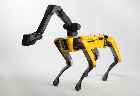 Mobile Robot, Robot Dog, Boston Dynamics, Big Robots, Dogs For Sale, Robot Design, Robots Concept, New Uses, Robotics