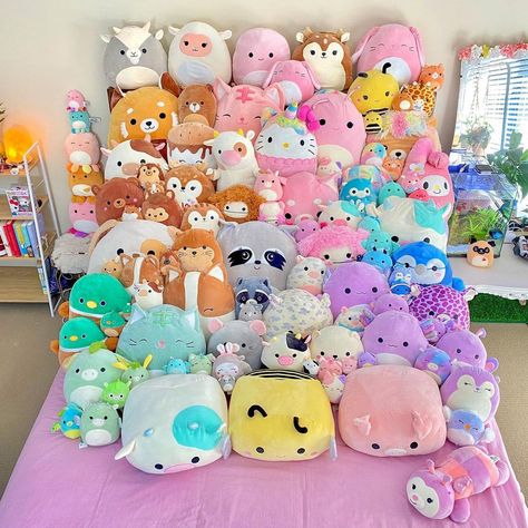 Room Full Of Squishmallows, Aesthetic Squishmallows, Squad Pic, Squish Mellow, Soft Things, Cool Fidget Toys, Cute Squishies, Sketchbook Ideas, Cute Stuffed Animals