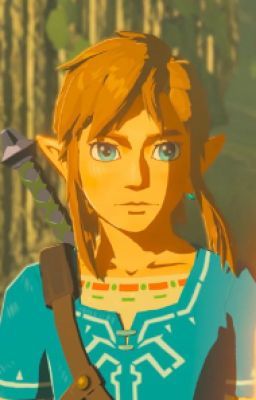 Link Reference, Link Icon, Link Botw, Link Cosplay, Hyrule Warriors, Link Zelda, Zelda Art, Ocarina Of Time, Legend Of Zelda Breath