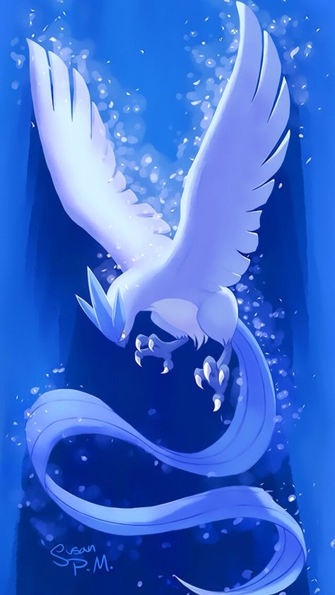 Articuno Pokemon Blue, Cool Pokemon Wallpapers, Pokémon Master, Cute Pokemon Wallpaper, Pokemon Drawings, All Pokemon, Pokemon Fan Art, My Pokemon, Cool Pokemon