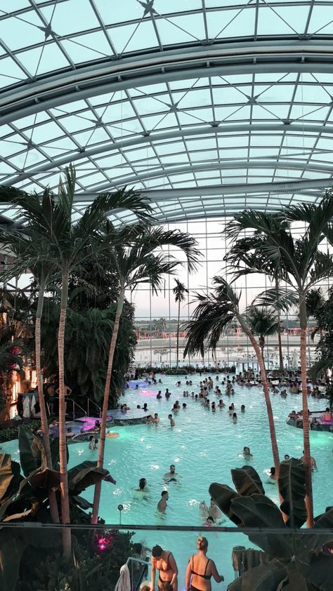 Palme, therme Bucharest, aesthetic, wallpaper Indoor Waterpark Aesthetic, Therme Bucharest, Centre Parcs, Water Theme Park, Aesthetic Place, Center Parcs, Movie Locations, Indoor Waterpark, Pool Rooms