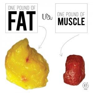 Fat Vs Muscle, One Pound Of Fat, 1200 Calories A Day, Strength Training Guide, Strength Training For Beginners, Motivation Pictures, Squats And Lunges, Bad Knees, Fitness Motivation Pictures