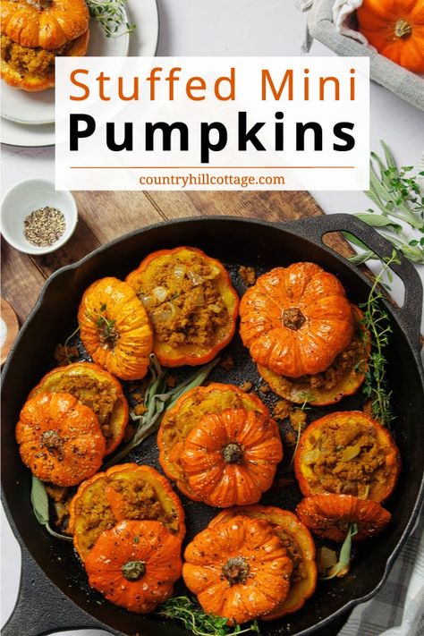 Mac And Cheese Stuffed Pumpkin, Stuffed Baked Pumpkin Recipes, Miniature Thanksgiving Dinner, Autumn Side Dish Recipes, Halloween Ground Beef Recipes, Seasonal Dinner Recipes Fall, Autumn Dinner Recipes Fall, What To Do With Mini Pumpkins, Stuffed Mini Pumpkin Recipes