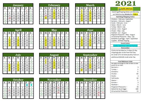 Chicken Availability Chart - Cackle Hatchery® Hatchery Chicken, Chick Temperature Chart, Chicken Hatching Calendar, Chicken Record Keeping Free, Chicken Egg Development Chart, New Hampshire Chickens, Baby Chicks, Chicken