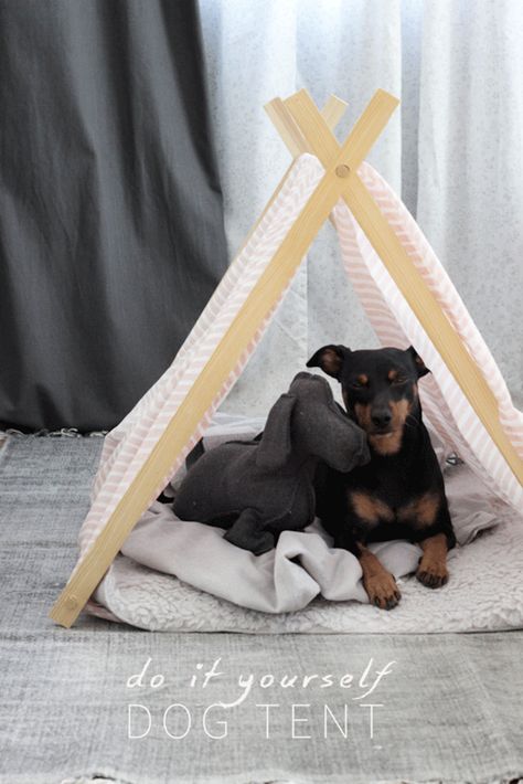 Dog Tent Bed, Dog Teepee, Dogs Diy Projects, Tent House, Dog Tent, Diy Tent, Dog House Diy, Bed Tent, Dog Rooms