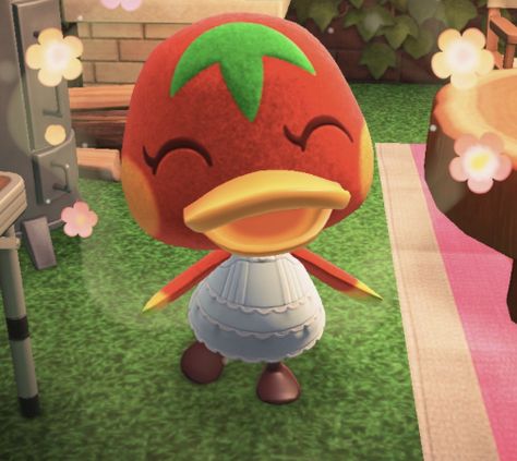 Ketchup Animal Crossing, Animal Crossing Pfp, Shaun The Sheep, Animal Crossing Memes, Animal Crossing Characters, Animal Crossing Villagers, Animal Crossing Pocket Camp, Canva Tutorial, Wall Board