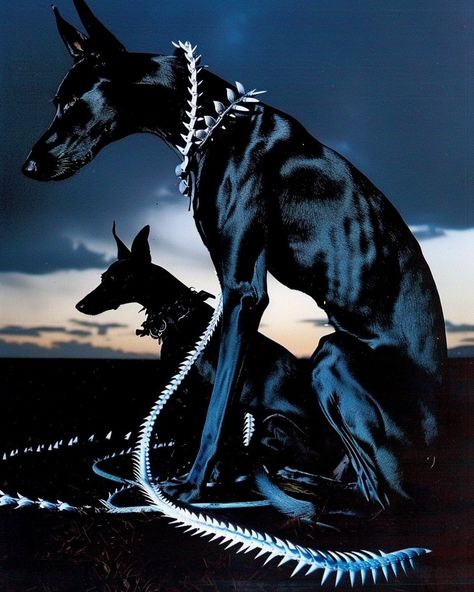 Black Doberman, Bad Dog, The Villain, Surreal Art, Doberman, Art Plastique, Album Art, Art Reference Photos, Dark Art