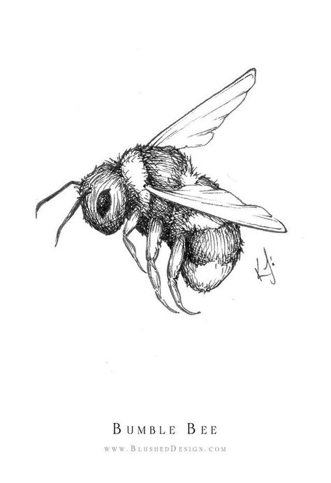 Bumble Bee Illustration, Bee Drawing, Drawing Hands, Bee Illustration, Flower Drawings, Drawing Hair, Drawing Faces, White Drawing, Bee Tattoo