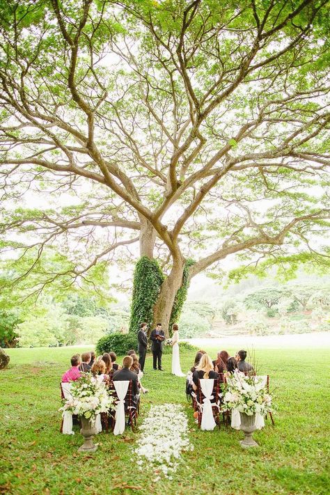 Garden Wedding Ceremony Decorations, Small Weddings Ceremony, Wedding Ceremony Ideas, Hawaii Photography, Kauai Wedding, Hawaii Destination Wedding, Garden Weddings Ceremony, Tropical Botanical, Small Intimate Wedding