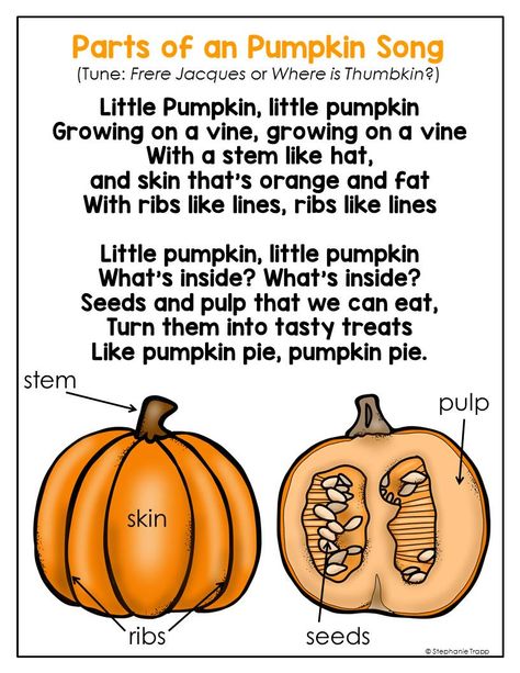 Helps students remember the parts of a pumpkin with this cute song! Pumpkin Unit Preschool, Pumpkins Preschool Theme, Room On The Broom Preschool Activities, Pumpkin Theme Preschool Lesson Plans, Pumpkin Parts Preschool, Pumpkin Circle Time Activities, Pumpkin Theme Preschool Activities, Pumpkins Preschool Activities, Preschool Pumpkin Theme